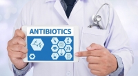Правильное использование антибиотиков