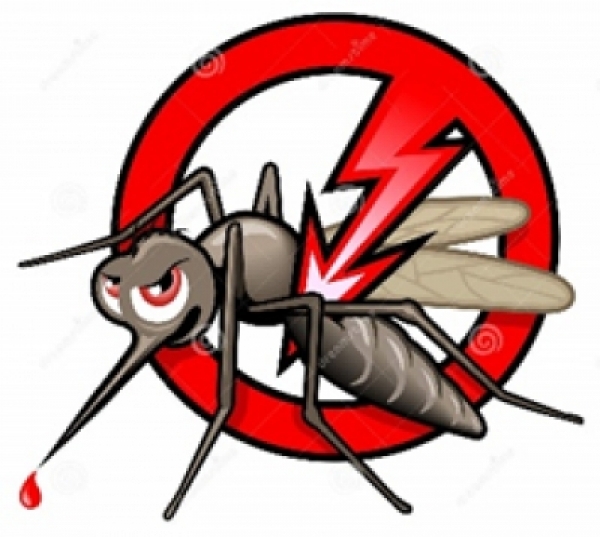 Малярия и её профилактика