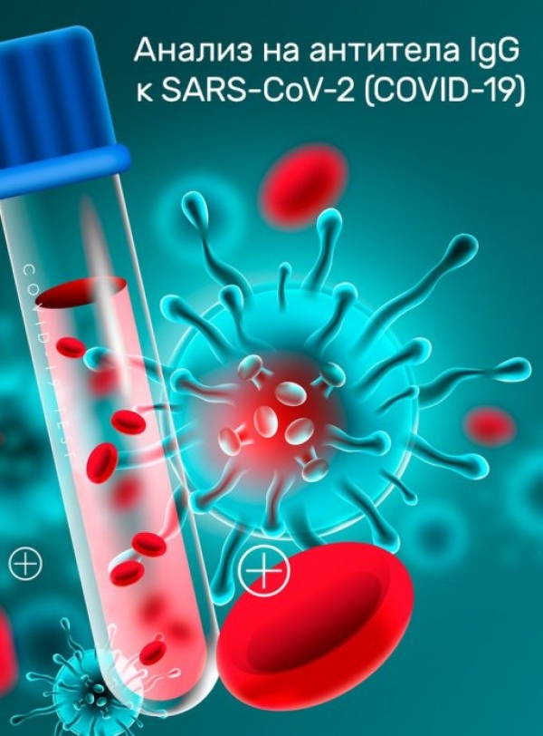 График проведения сероэпидемиологического исследования по изучению популяционного иммунитета населения