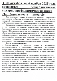 «За безопасность вместе!»