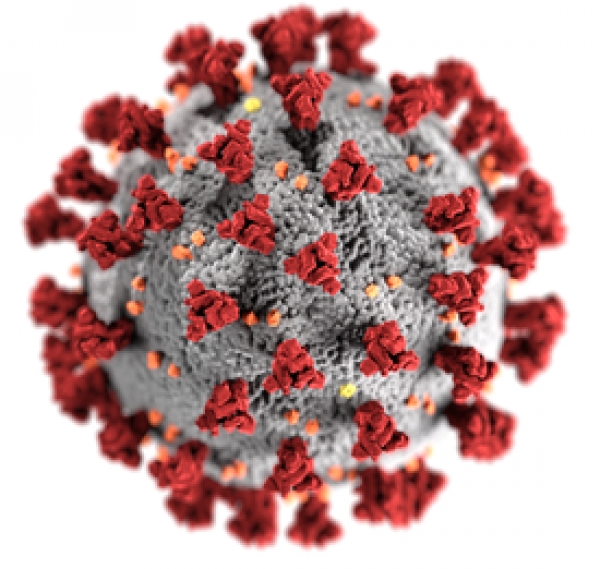Вакцинация как эффективный способ противодействия распространению коронавирусной инфекции